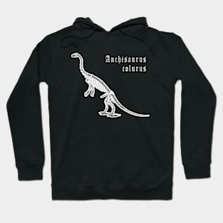 🦖 Fossil Skeleton of Anchisaurus colurus Dinosaur Species Hoodie